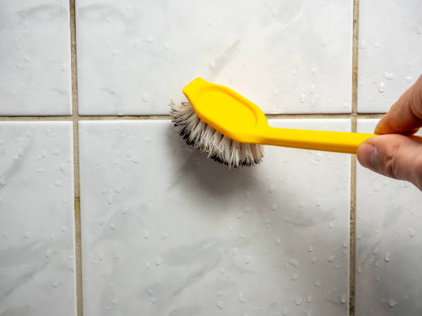 Mold Removal and Inspection in Browns Point, WA