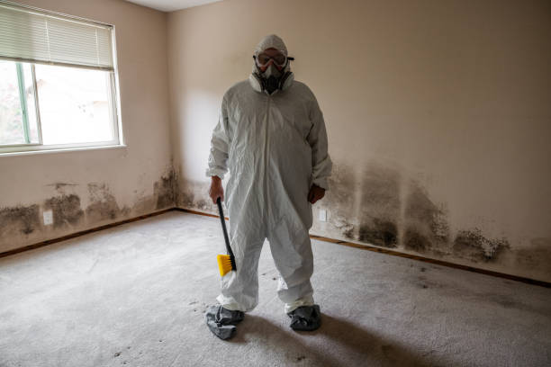 Best Local Mold Removal Service  in Browns Point, WA