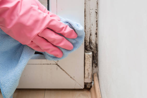 Best Mold Testing  in Browns Point, WA